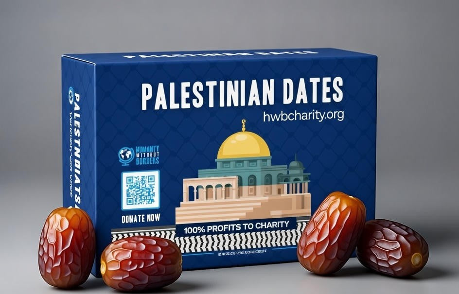 Large Premium Palestinian Medjool Dates (900g)